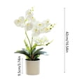 thumbnail image 3 of Phalaenopsis Bonsai Artificial Potted Plant, Lifelike Silk Flower Home Office Desktop Decoration, Adjustable Arrangement for Wedding Centerpiece, Table Display, Shop Decor and Home Accent, 3 of 6