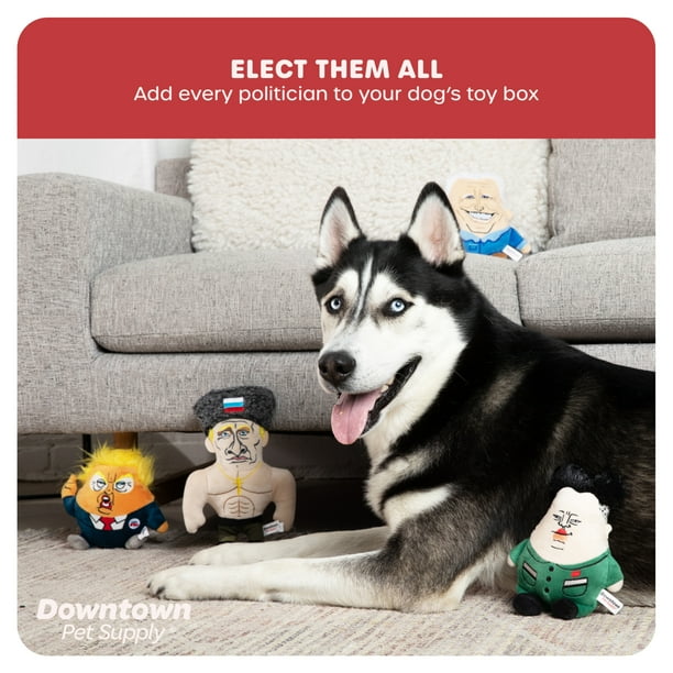 Downtown Pet Supply Dog Toy President Chomp Dog Chew toy with Squeaker
