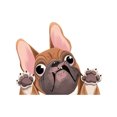 thumbnail image 1 of Pegatinas para coche de 1 pieza, pegatinas para perros, pegatinas bonitas para coches, pegatinas para ventanas de coches con pegatinas para perros, pegatinas para coches de perros, Bulldog caqui, 1 of 5
