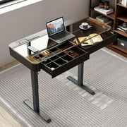 Office Desk, Up and Down Desk,Electric Lift Desk, Standing Desk with Drawer Charging USB Port, Home Office Laptop Desk with Storage