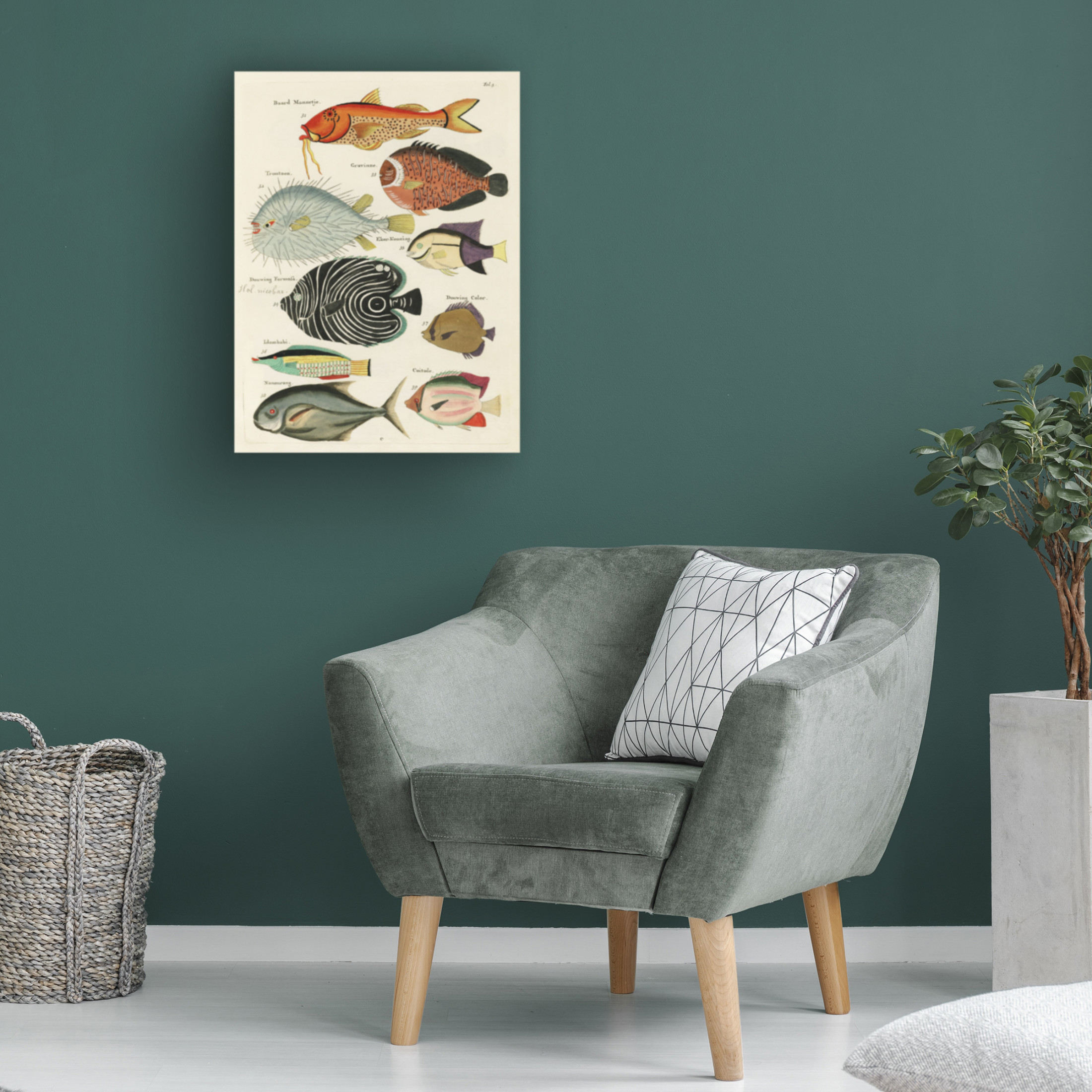 Trademark Fine Art Louis Renard Renard Tropical Fish VI Canvas Wall Art