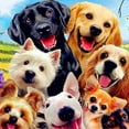 thumbnail image 1 of Graflsoa 5D DIY Diamond Painting Kit - Create Your Own Pet Dog Artwork with Resin Rhinestones, 12x12 Inch Canvas, Includes Tools for Crafting Fun, 1 of 5