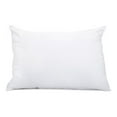 thumbnail image 3 of Health+ Pillow Queen, 3 of 4