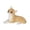 Yellow, variant on VMWMSSR Hand Painted Resin Mini Figurine Statue Realistic Lying Dog Sculpture Decorative Animal Ornament For Car Living Room Cabinet Tabletop Decor(White-3.15")