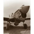 thumbnail image 2 of Vintage World War II photo of a P-40 Warhawk Poster Print by John Parrot/Stocktrek Images, 2 of 2