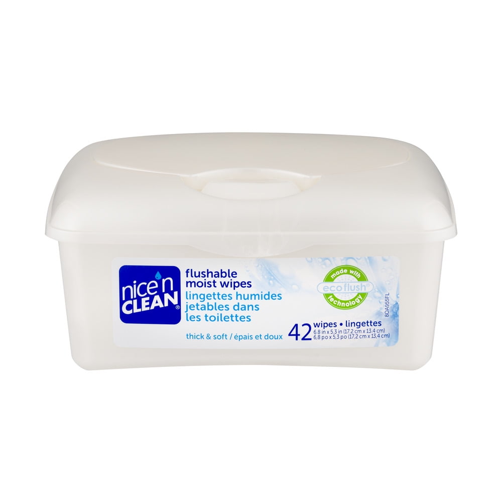 Nice' N Clean Flushable Moist Wipes 42 CT