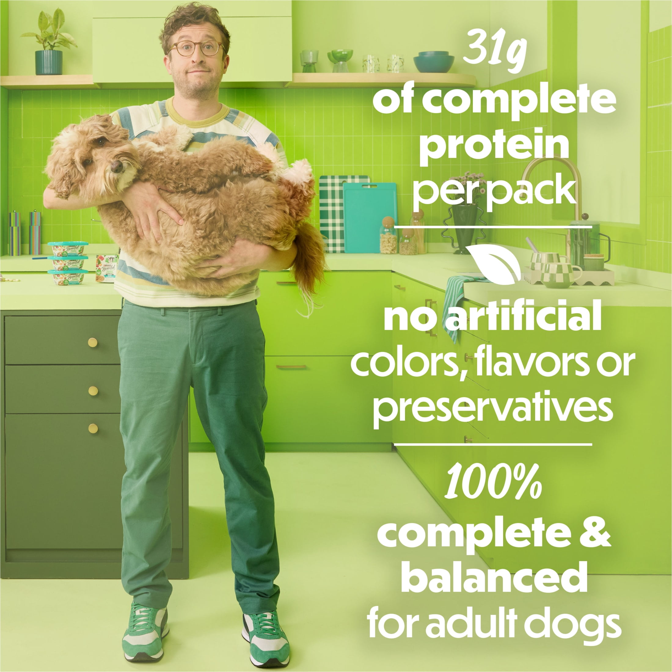 (6 pack) Purina Beneful Freshly Prepared Blends Wet Dog Food with Turkey, Sweet Potatoes, Brown Rice and Spinach, 10 oz Tub