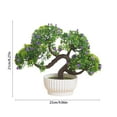 thumbnail image 3 of HongHeng Artificial Small Plant 1pc Fake Flower Potted Plant Bathroom for Indoor Decor Window Tabletop office Colorful, 3 of 6