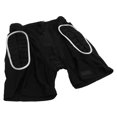 thumbnail image 4 of Pantalones cortos con protección de cadera, pantalones cortos con protección de cadera para esquí, color negro plateado, pantalones cortos con protección de cadera para snowboard, fieles a su promesa, 4 of 12