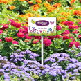 thumbnail image 3 of Eveokoki Wildflower Area Do Not Mow Sign with Metal Stake 8 x 12 Inches No Mow May Yard Sign No Mow Signs Aluminum ​Garden Signs Outdoor for Lawn Yard Garden Decor, Easy to Install, 3 of 6