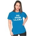 thumbnail image 3 of No Problama Llama Alpaca Cute Funny Womens Slim Fit Graphic Tee Brisco Brands L, 3 of 4