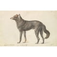 thumbnail image 3 of Charles Hamilton Smith 24x17 Black Modern Framed Museum Art Print Titled - Black Wolf (1837), 3 of 5