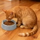 thumbnail image 5 of Los Cuencos de Comida para Gatos de Plástico Negro 18.5x15x6.3cm Pueden Alimentar a Gatos para Gatos de Alimentación Diaria, 5 of 6