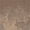 Taupe, variant on Arcadia Garden Products 8" Dark Charcoal Garden Bowl