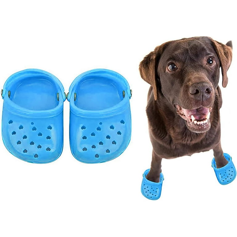 Dog sandals cheap