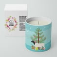 thumbnail image 2 of Carolines Treasures BB9345CDL 3.75 x 3.25 in. Unisex Dorper Sheep Christmas 10 oz Decorative Soy Candle, Teal, 2 of 5