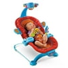 Fisher Price Deluxe Sensory Bouncer