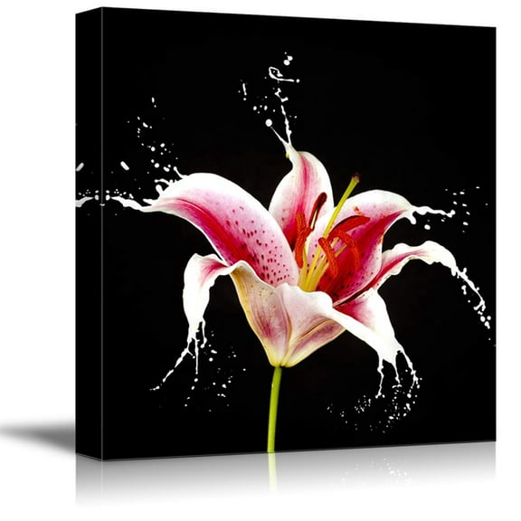 Wall26-Canvas Wall Art-Black Background Flower Theme for Living Room-Giclee Painting Wall Bedroom Living House Decoration Home Art - 16x16 inches