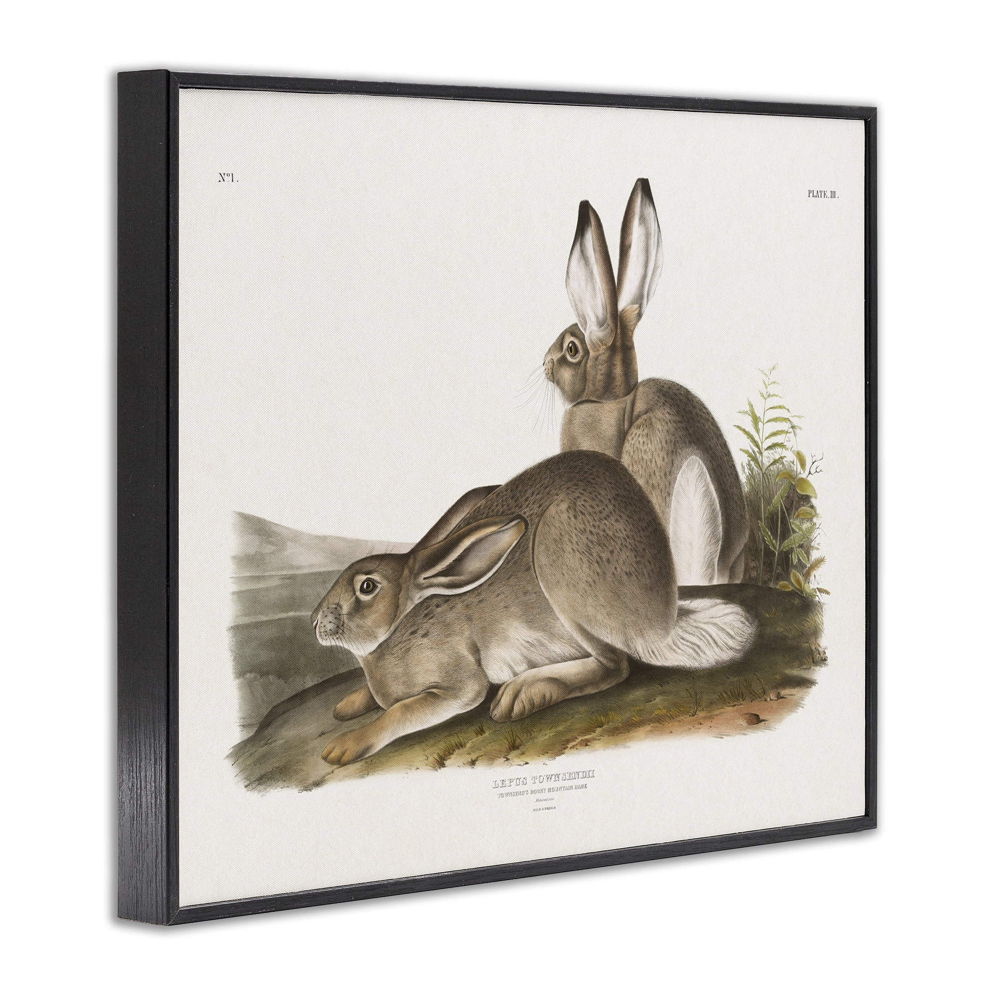 Stupell Industries Traditional Cottage Hare Animals & Insects Painting Black Framed Art Print Wall Art, 30 x 24