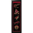 thumbnail image 1 of Encore Select 109-81 Arizona Coyotes Logo History Felt Banner - 14 x 37 in., 1 of 1
