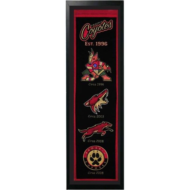 Encore Select 109-81 Arizona Coyotes Logo History Felt Banner - 14 x 37 in.