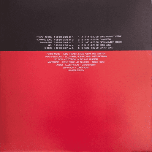 Shellac - 1000 Hurts - Music & Performance - Vinyl - Walmart.com