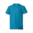 thumbnail image 2 of (2 pack) Hanes Youth EcoSmart Short Sleeve Tee (Little Boys & Big Boys), 2 of 4