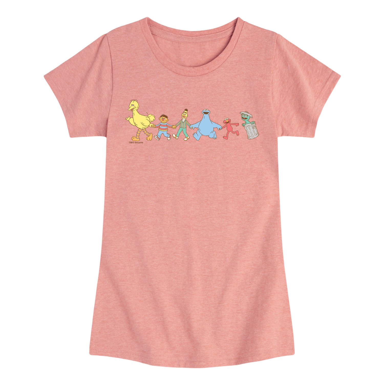 Sesame Street - SS Group Muted - Youth Girls Short Sleeve T-Shirt