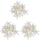 thumbnail image 1 of 30 Piezas de Color  Cremoso LáPiz Estrellas de Mar para Decoraciónde Bodas, Decoracióndel Hogar Y Proyectos de, 1 of 1