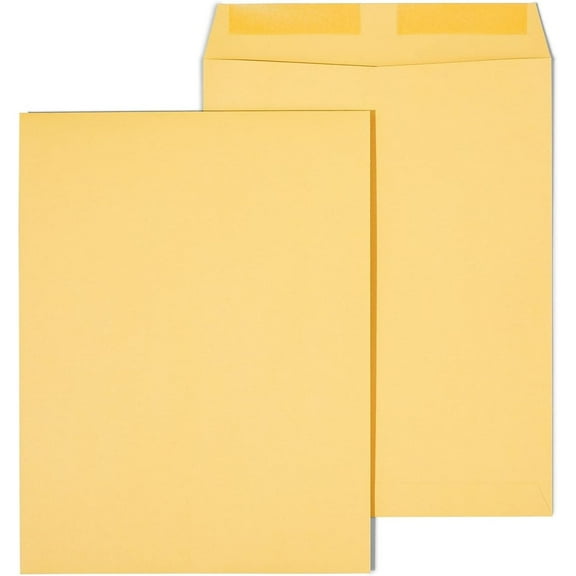 Bilot 486946 Gummed Catalog Envelopes 10-Inch L X 13-Inch H Brown 250/Box (486946/17033)