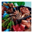 thumbnail image 3 of Frazada Providencia Moana Primavera de 127x152cm Azul, 3 of 4