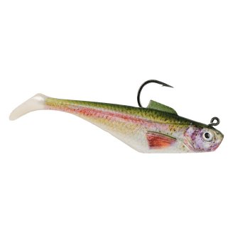 cisco fishing net Island Lake gets first cisco stocking - Duluth News Tribune