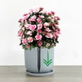 thumbnail image 5 of Artificial Azalea Flower Stakes with Ground Stake, Outdoor Faux Floral Shrubs for Garden Patio Porch Yard Pathway Decor, Indoor & Outdoor UV Resistant Decorative Plants, 5 of 8