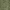 Deep Fern, variant on Garland Rug Essence Washable Nylon Deep Fern Bath Rug, 24" x 40"