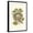 Black Frame, variant on Art.com Kingbird Nest and Eggs Art Print, 12" x 18"