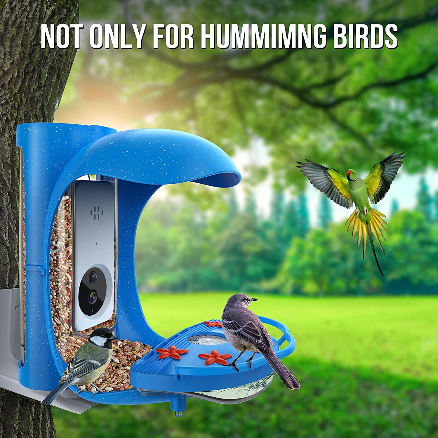 Take Glamor Shots of Hummingbirds With the New Bird Buddy Feeder