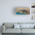 thumbnail image 2 of Canvas Wall Art - Jim Brune 'Pelican Over Turquoise Water' Wall Art for Living Room, Bedroom, or Office Décor by Trademark Fine Art - 32 x 16 Inches, 2 of 4