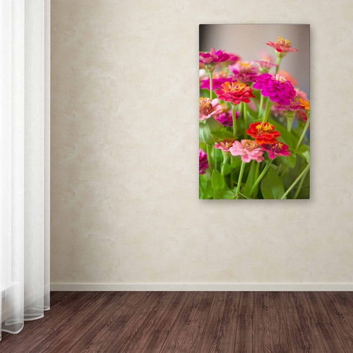 Trademark Fine Art "Meaning of Love" Canvas Art by Philippe Sainte-Laudy