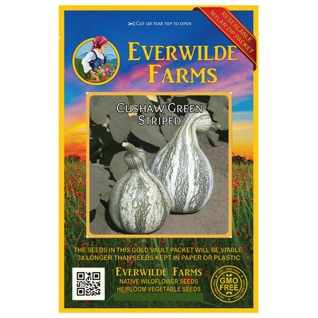 Pumpkin Seed Packet - Everwilde Farms - 40 Cushaw Green Striped Pumpkin Seeds - Gold Vault Jumbo Bulk Seed Packet