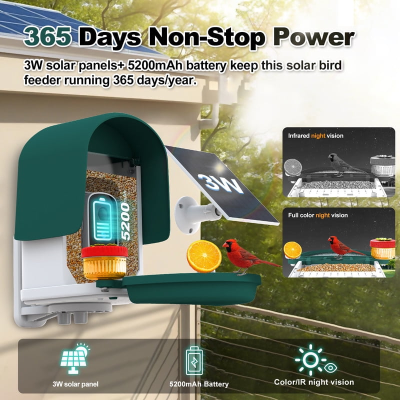 4k Smart Bird Feeder with Camera, Build-in 32GB SD Card & Solar Powered, 5MP Security Camera Al ldentify 10000+ Birds Color Night Vision & Real-Time App Alerts DlY Add-ons for Bird Watching