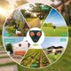 thumbnail image 5 of Repelente de gatos al aire libre, repelente de gatos ultrasónico, impermeable IP66, repelente de perros, carga solar, carga USB previene perros y gatos, pájaros, para jardines, campos, 5 of 5