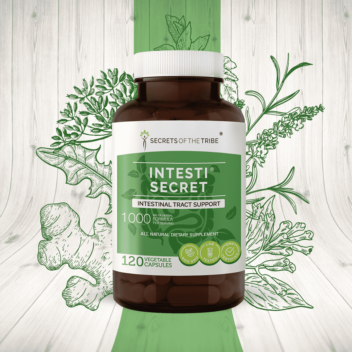 Intesti Secret 120 Capsules, 500 mg, Peppermint, Dandelion, Cloves, Ginger, Fennel Seed