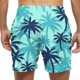 thumbnail image 4 of Kakii Men's Swim Trunks Hawaiian Bathing Mesh Lining Suit Swimsuits Beach Shorts with Pockets, 4 of 6
