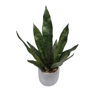 DUZYXI Artificial Snake Plants 16 with White Ceramic Pot Sansevieria Plant  Fake Snake Plant Greenery Faux Plant in Pot for Home Office Living Room