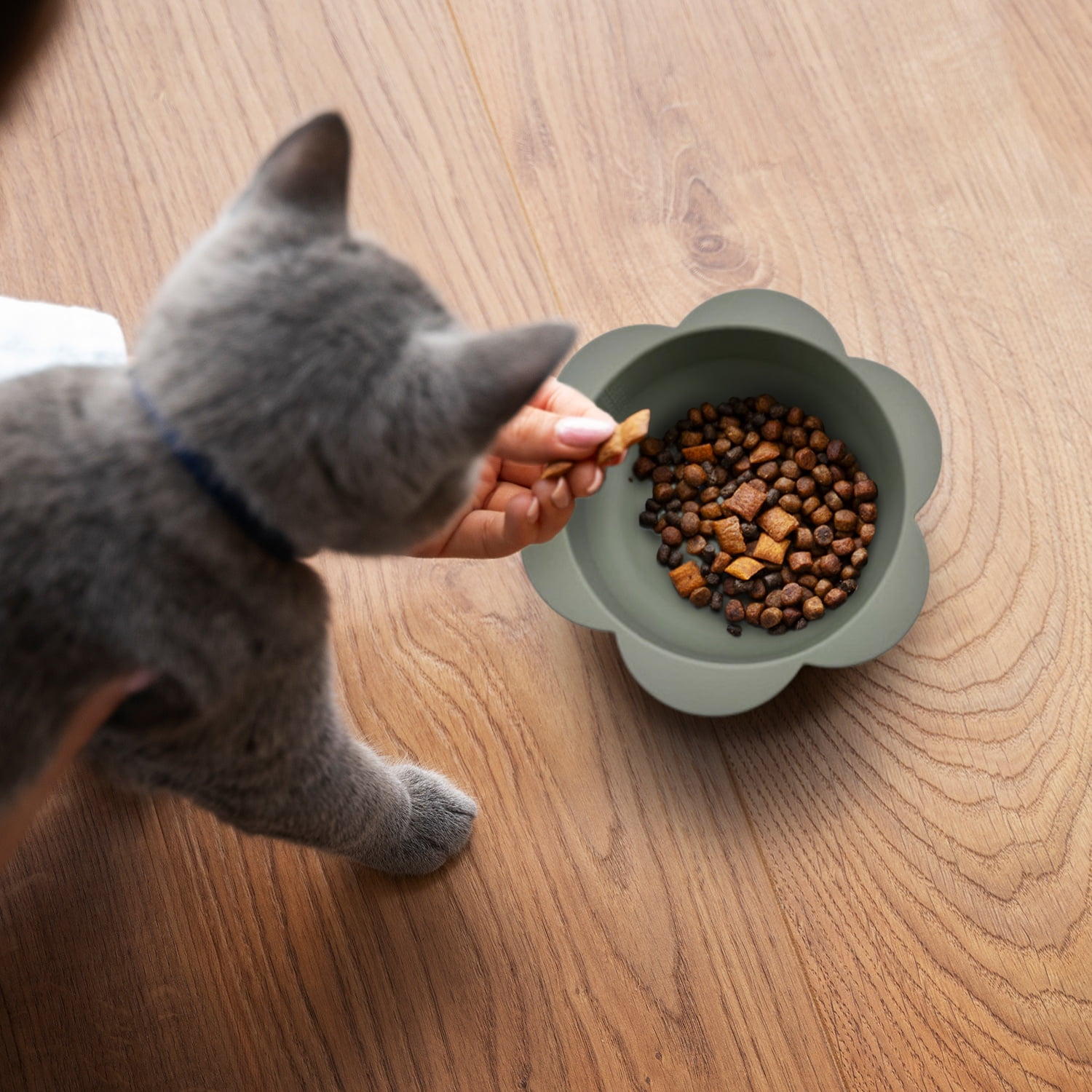 P.T. Supply Co. Gray Small Flower-Shaped Silicone Pet Bowl with Non-Slip Suction Base
