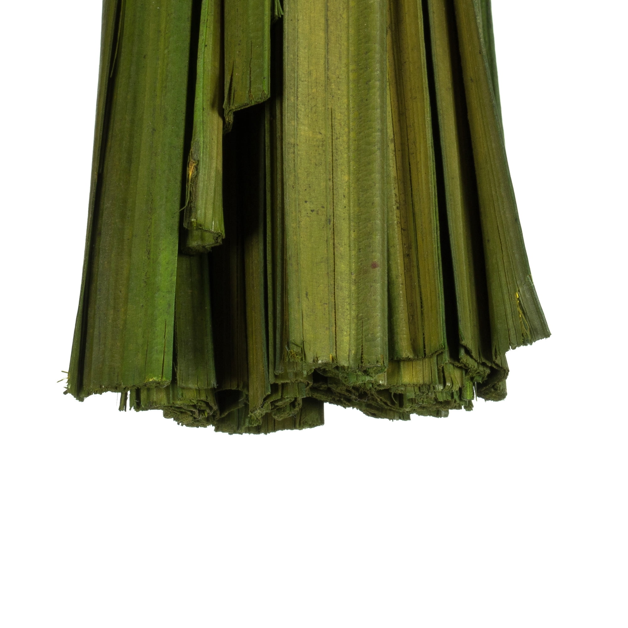 Vickerman 36-40" Foliage Green Sable Grass, 7 oz Bundle, Dried