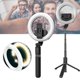thumbnail image 1 of Anillo De Luz Led Para Selfie Todo En Uno, Luz De Relleno, Trípode Ajustable, Kit De Trípode De Luz De Relleno Para Selfie De Maquillaje Vogacara EL015820-00, 1 of 5