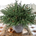 thumbnail image 7 of 6 Pieces Christmas Norfolk Pine Needle Branches with Pine Cones, 18 Inch Artificial Norfolk Pine Stems, DIY Crafts Faux Greenery for Xmas Home Decor Garland Wreath Craft, 7 of 7