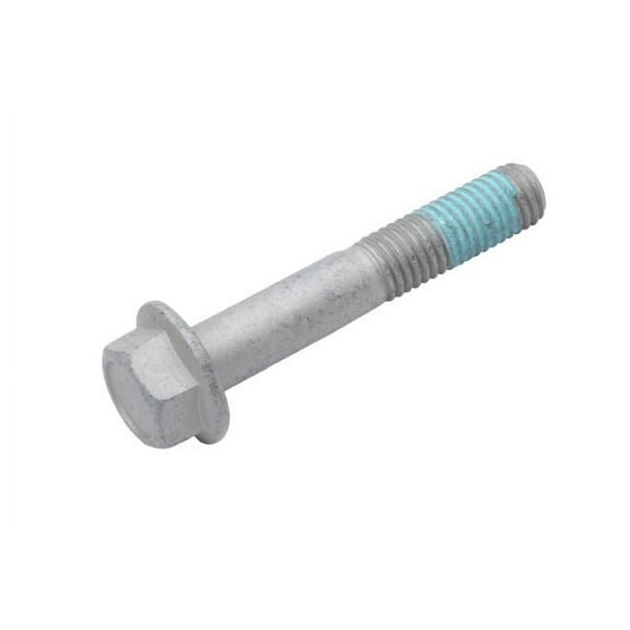 Rear Brake Caliper Bracket Bolt