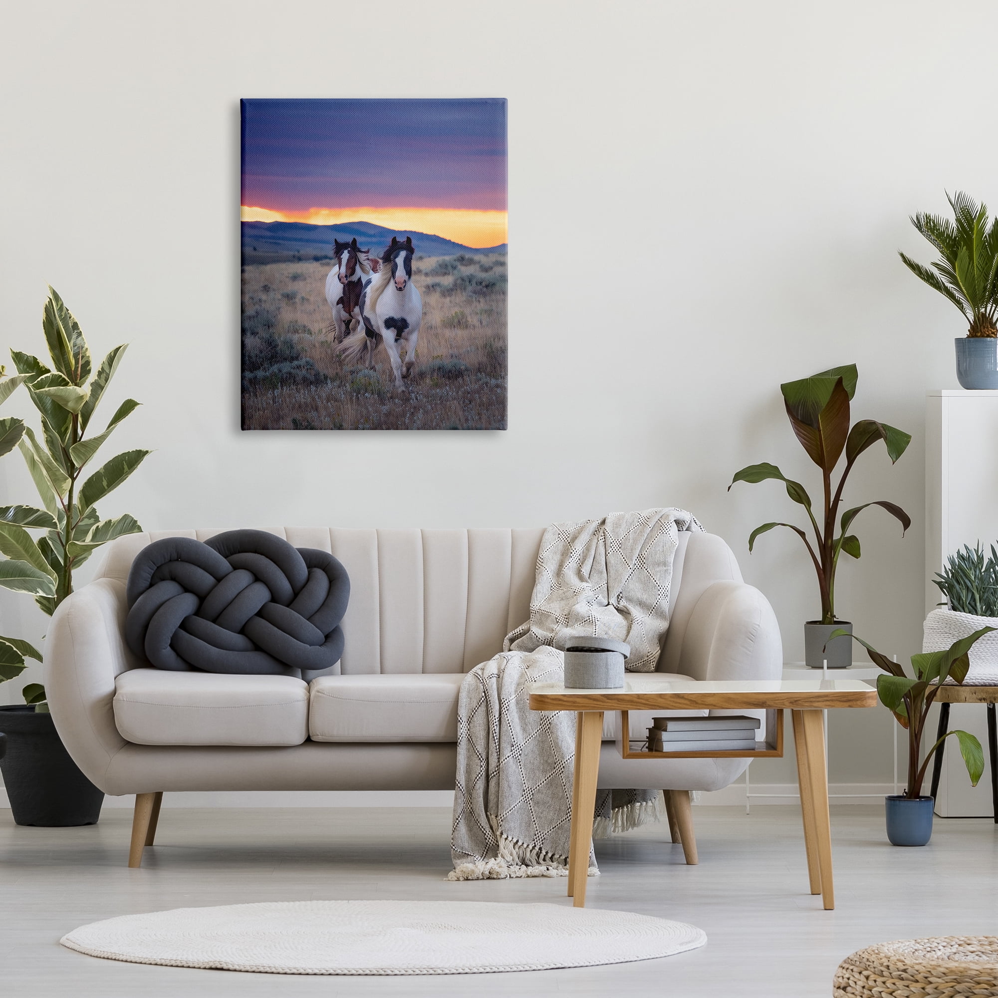Stupell Industries Spotted Horses at Sunrise Animals & Insects Photography Gallery Wrapped Canvas Art Print Wall Art, 30 x 40